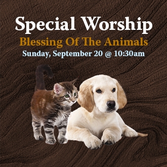 Blessing of the Animnals